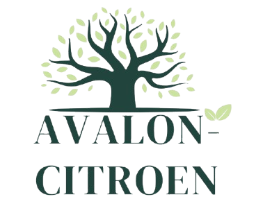 Avalon-Citroen